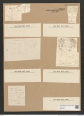 Diatomeae indet. (de-Toni-Nr.: Species 2959) Zeichnungen Sammlung Grunow Nr. 6063 (NHMW-BOT-W0374574)
